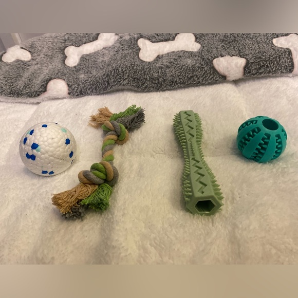 Set of 4 interactive pet chewing toys for dogs & cats, Like New, Multicolor - Picture 2 of 7
